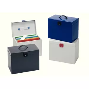 File storage box Esselte 48320 Metal Assorted colours