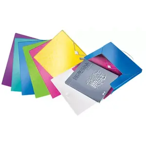 Box file Leitz WOW 250 sheets Assorted colours