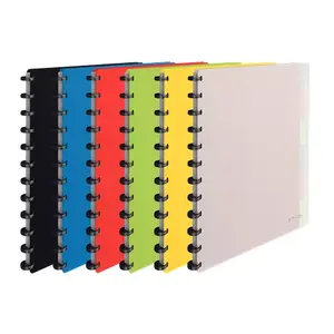 Ring binder Esselte 624014 A4 Assorted colours