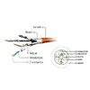 Gembird Cat6a S/FTP RJ-45–RJ-45 0.5 m cable Photo 4
