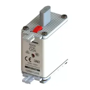 EATON NH00 плавкая вставка 125 A 125NHG00B Photo 1