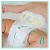 Pampers Photo 12