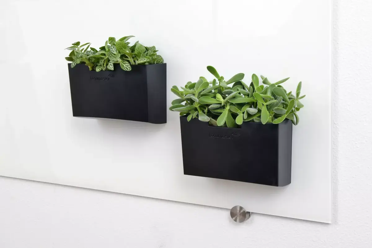Pildspalvu turētājs Legamaster glassboard accessory holder black Photo 4
