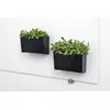 Pildspalvu turētājs Legamaster glassboard accessory holder black Photo 4
