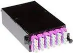 Fanout kasete ACT High Density 24