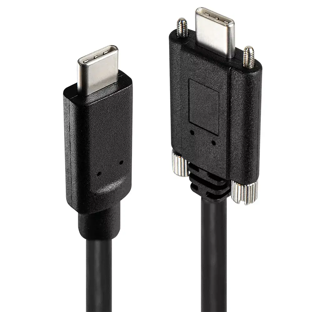 USB хаб Lindy 4 Port USB 3.2 Gen 2 Type C Photo 4