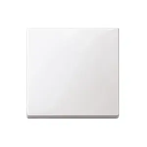 Wall plate / switch cover Merten 432125, white, thermoplastic