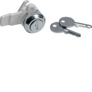 Hager FZ597 Key Lock for Electrical Enclosure