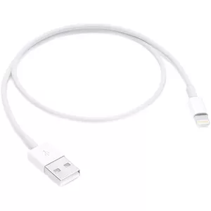 Buy APPLE USB Type C Cable 1 A 1 m MQKJ3ZM/A at the Best Price in