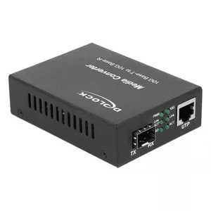 Сетевой медиаконвертер DeLOCK 86439