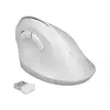 Mouse DeLOCK 12596 Photo 2
