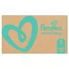 Pampers Photo 6