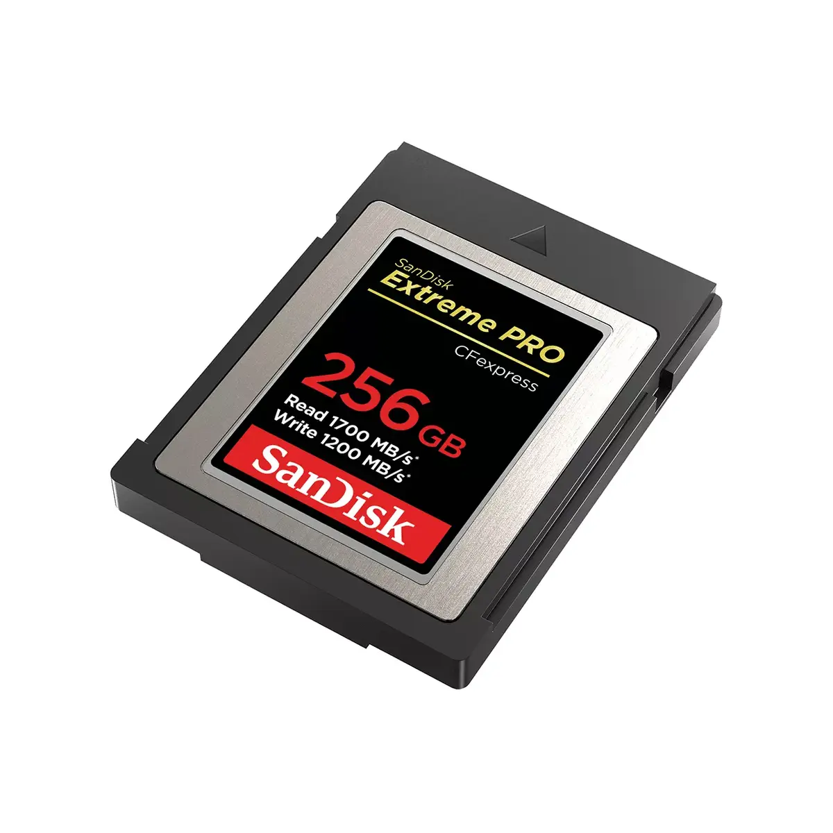 Флеш-память SanDisk 256ГБ SDCFE-256G-GN4NN Photo 2