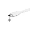 StarTech USB-C uz DVI-D daudzportu adapteris DKT30CDVPD Photo 3