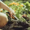 Garden trowel Fiskars Xact Photo 2