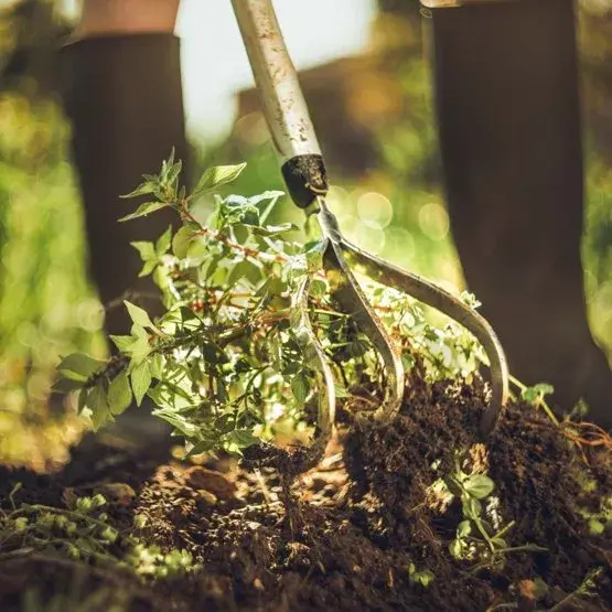 Ручной культиватор Fiskars Xact™ Cultivator 3 Photo 2
