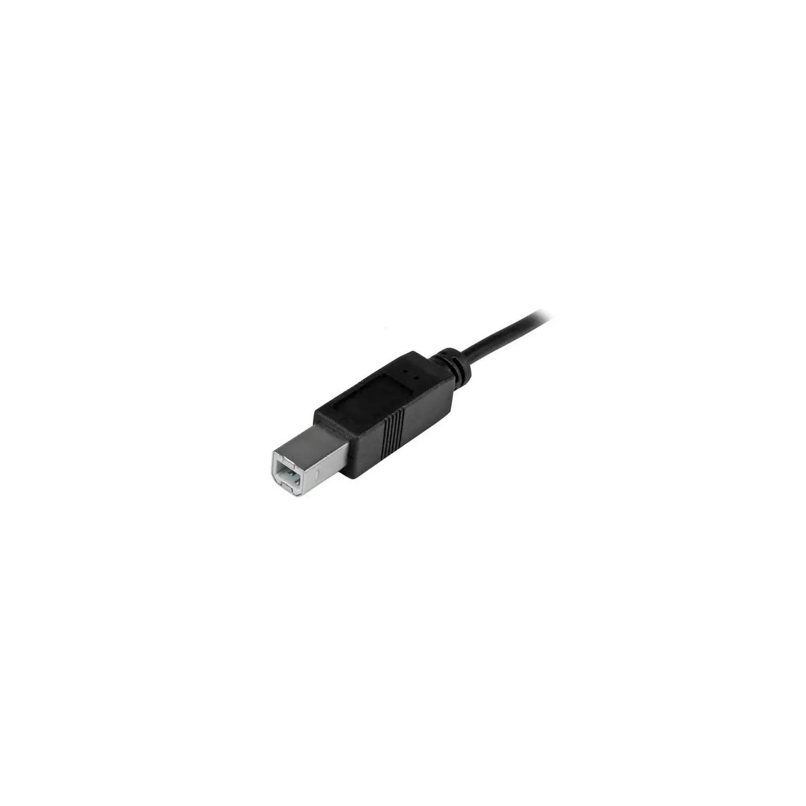 StarTech USB2CB2M Photo 2