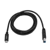USB-C uz USB-B kabelis StarTech.com USB315CB2M Photo 4