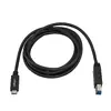 StarTech USB-C uz USB-B kabelis USB315CB2M Photo 5