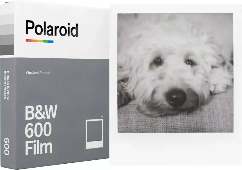 Instant Picture Film Polaroid B&W 600 Film Photo 2