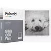 Instant Picture Film Polaroid B&W 600 Film Photo 2
