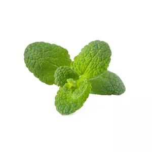 Starter kit Click & Grow Apple Mint Plant Pods