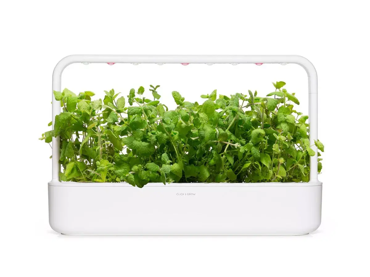 Набор для посадки Click & Grow Apple Mint Plant Pods Photo 2
