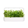 Набор для посадки Click & Grow Apple Mint Plant Pods Photo 2