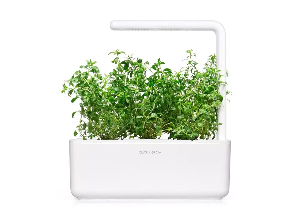 Starter kit Click & Grow Mountain Savory Plant Pods Photo 3