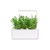 Starter kit Click & Grow Mountain Savory Plant Pods Photo 3
