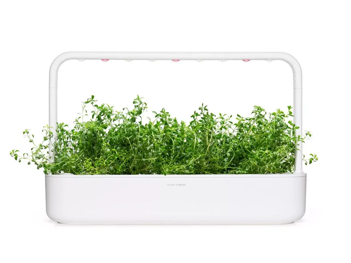 Starter kit Click & Grow Mountain Savory Plant Pods Photo 4