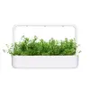 Starter kit Click & Grow Mountain Savory Plant Pods Photo 4