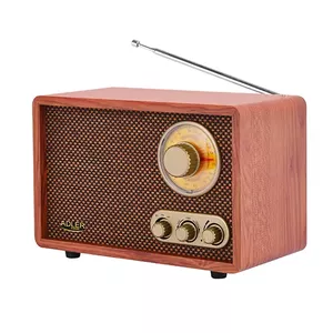 Adler AD 1171 radio Pārnesams Brūns