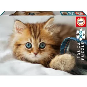Mīklas puzle Educa Puzzle 200 Items Kitten — 200 detaļu puzle ar kaķēnu