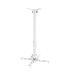 Ceiling Mount Vivolink VLMC350M-W