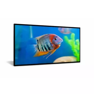 DynaScan DI551ST2 ceļrāžu displejs Plakans digitālā displeja panelis 138,8 cm (54.6") LCD 1000 cd/m² Full HD Melns Android