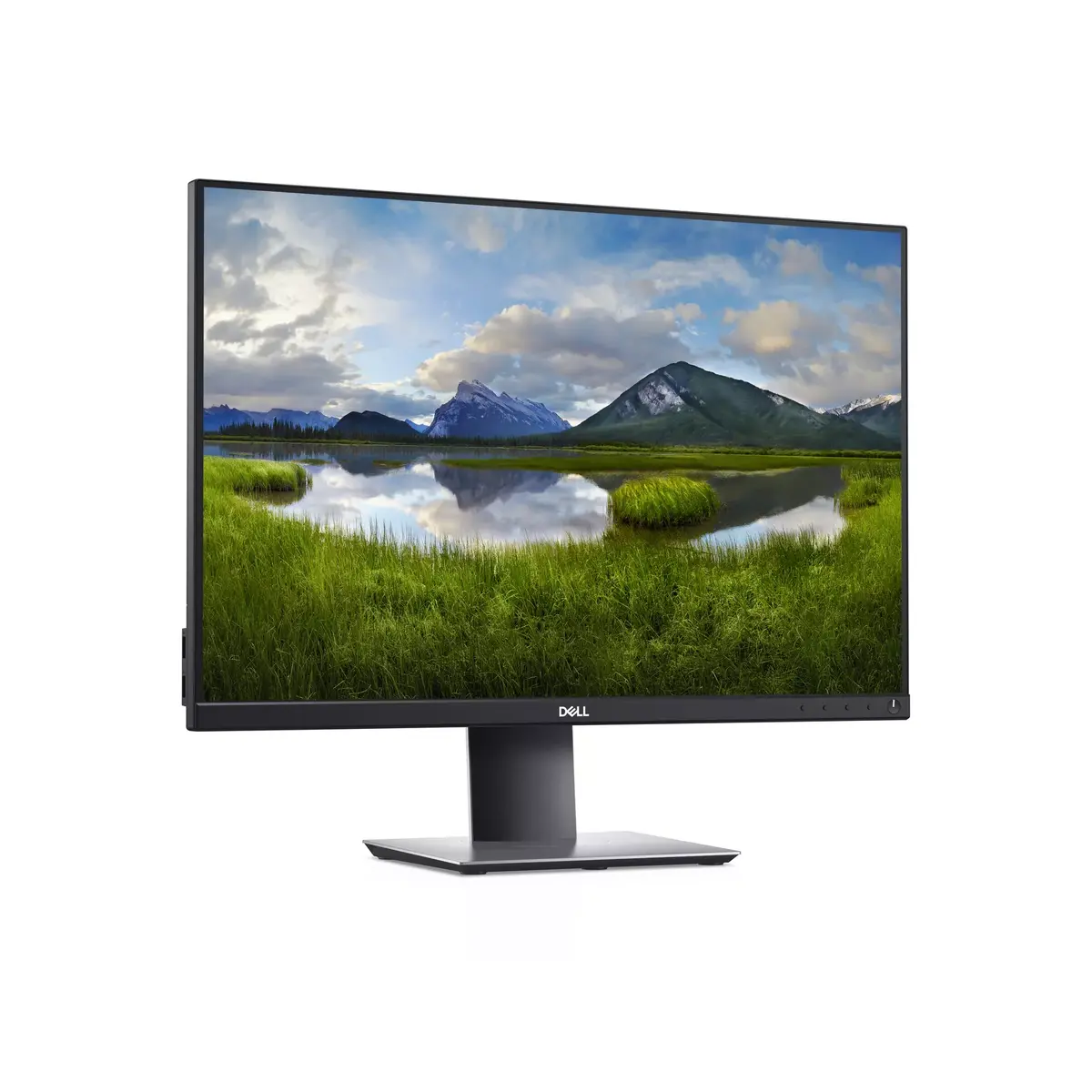 Монитор Dell P2421 Photo 3