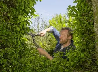 Grieznes GARDENA NatureCut Bypass Photo 4
