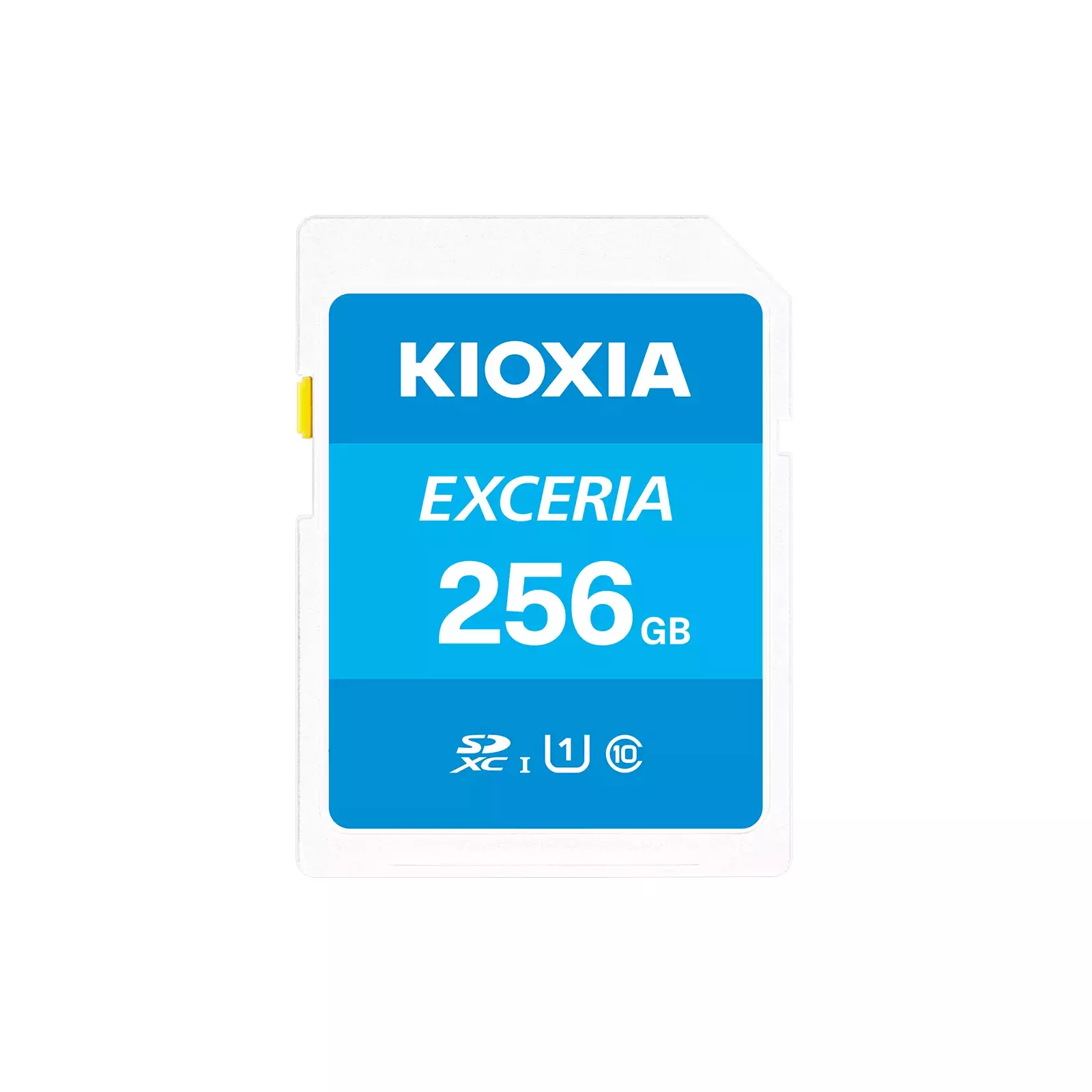 Kioxia LNEX1L256GG4 Photo 1