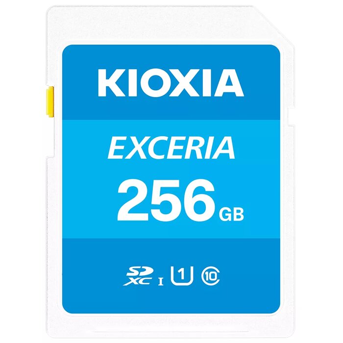 Kioxia LNEX1L256GG4 Photo 1