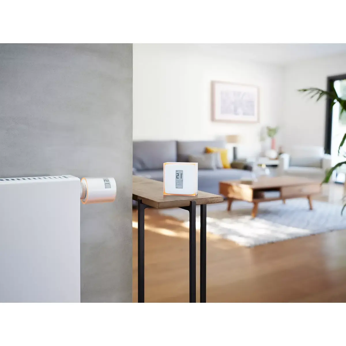 Умный термостат Netatmo Pack: Умный термостат + 3 радиаторных клапана Photo 4