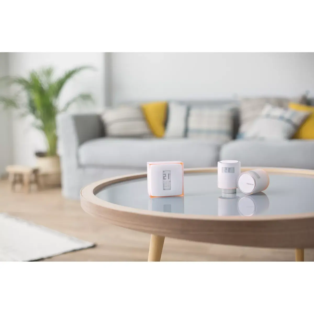 Умный термостат Netatmo Pack: Умный термостат + 3 радиаторных клапана Photo 5