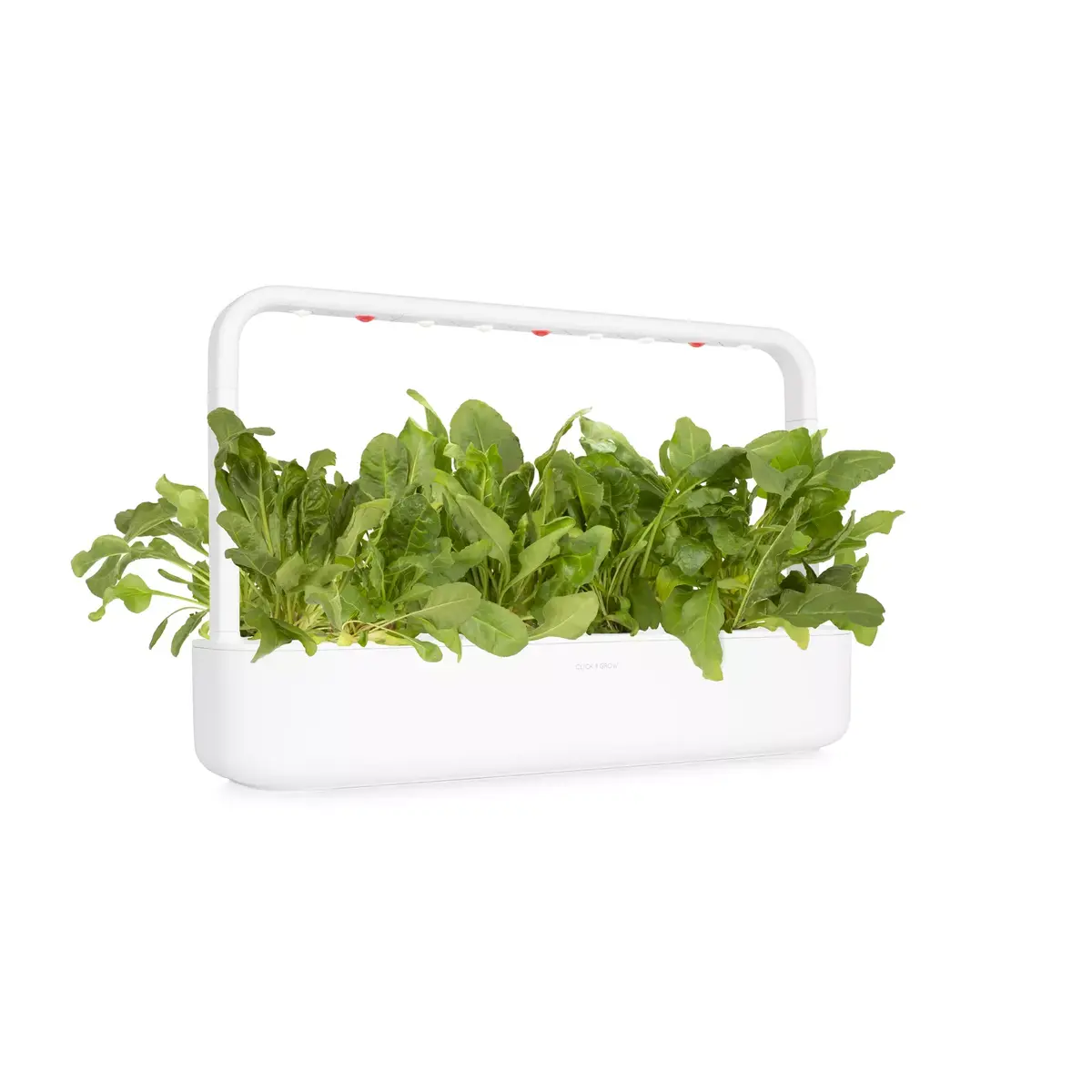 Запасные Click & Grow GREEN CHARD PLANT PODS Photo 2