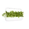 Запасные Click & Grow GREEN CHARD PLANT PODS Photo 2