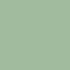 Марафон, вискоза, 1169, светло-серебристо-зеленый (1000 м)