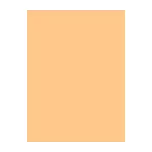 Embroidery Thread, Brother Madeira 1026 Light Peach, 1000 m spool