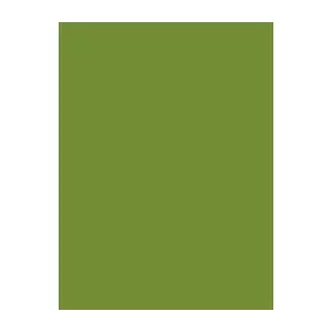 Sewing Thread Brother Madeira 1048 Green 1000 m – Polyester embroidery and sewing thread