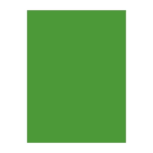 Sewing Thread Brother Madeira 1000 m, green 9111050