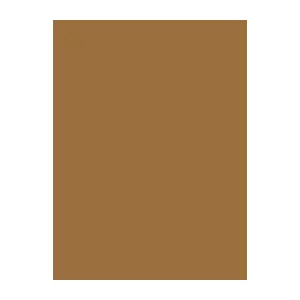 Sewing thread Brother Madeira 1056 caramel color, polyester, 1000 m spool