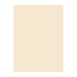 Sewing Thread Brother 1072 cream color 1000 m spool